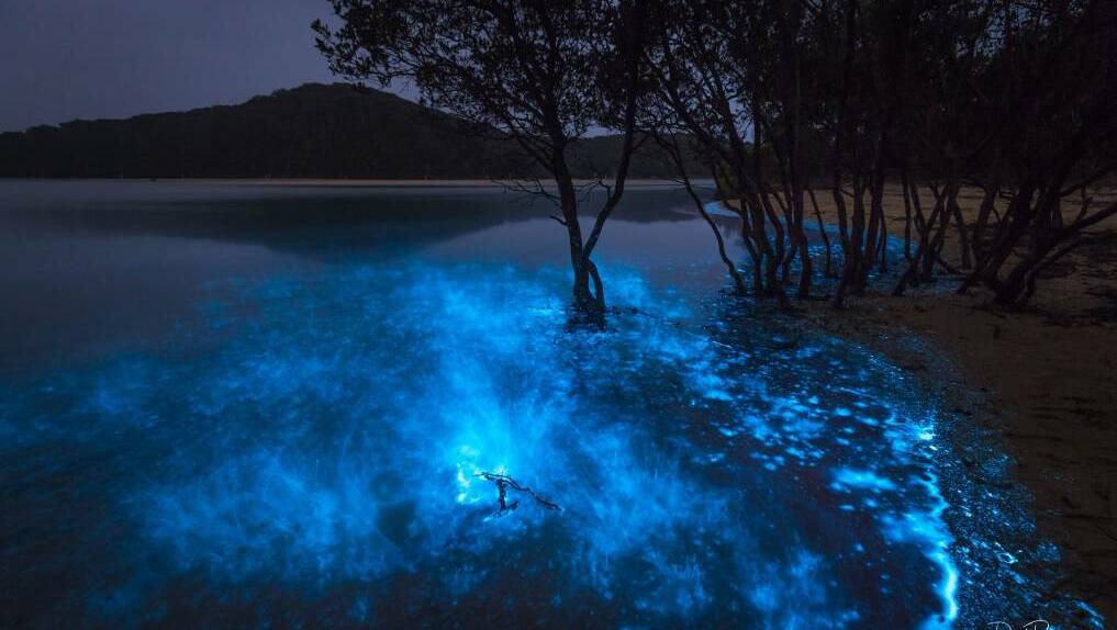 One of the photographs captured by David Rogers in Tathra of the bioluminescent algae. Photo: David Rogers 