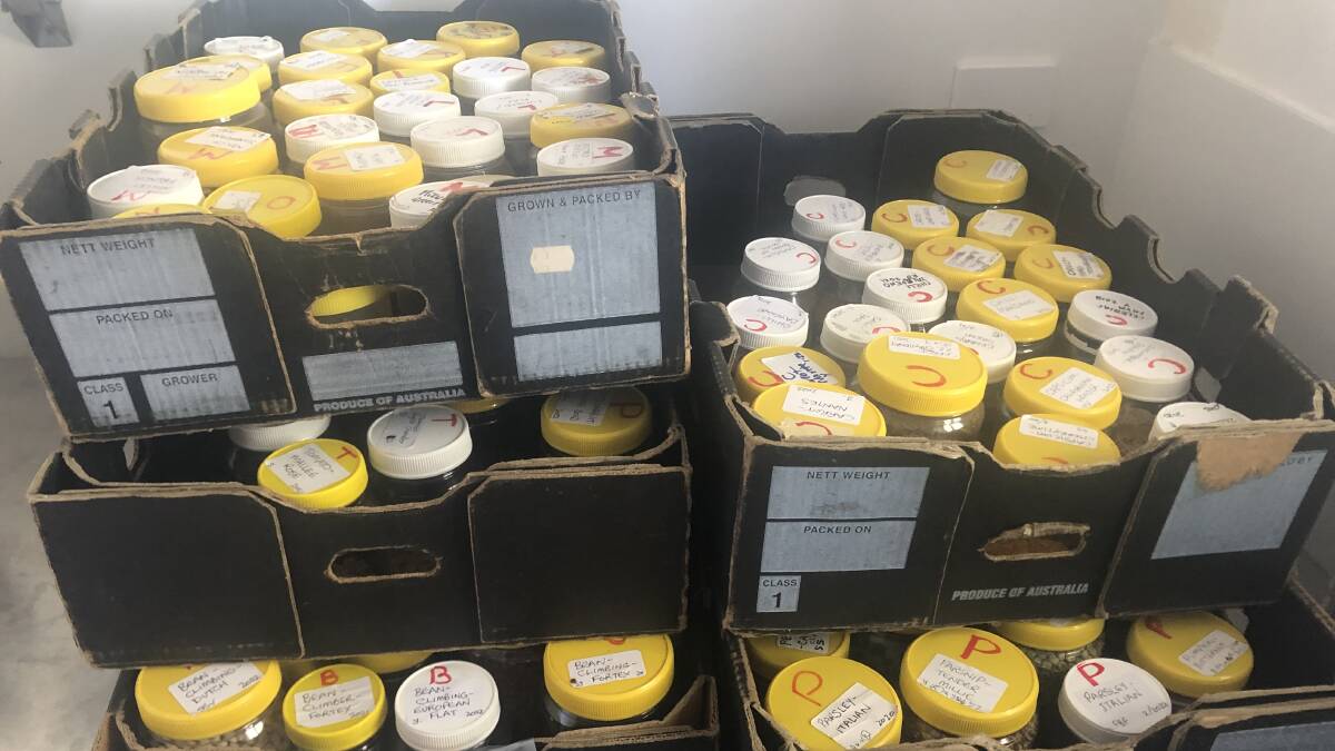 The Bega Valley Seed Savers catalogue are passing from home to home. The seeds are processed before being stored in old peanut butter jars. Photo: Ellouise Bailey 