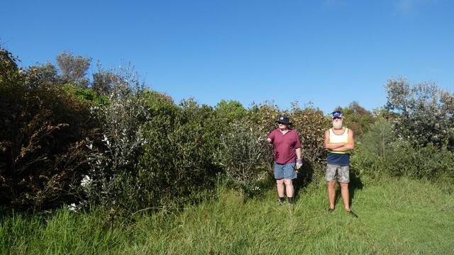 Stuart Cameron (on right) with Dune Care member Rod Kidd, standing in the spot which was once overrun with invasive weeds kikuyu and blackberry. 
