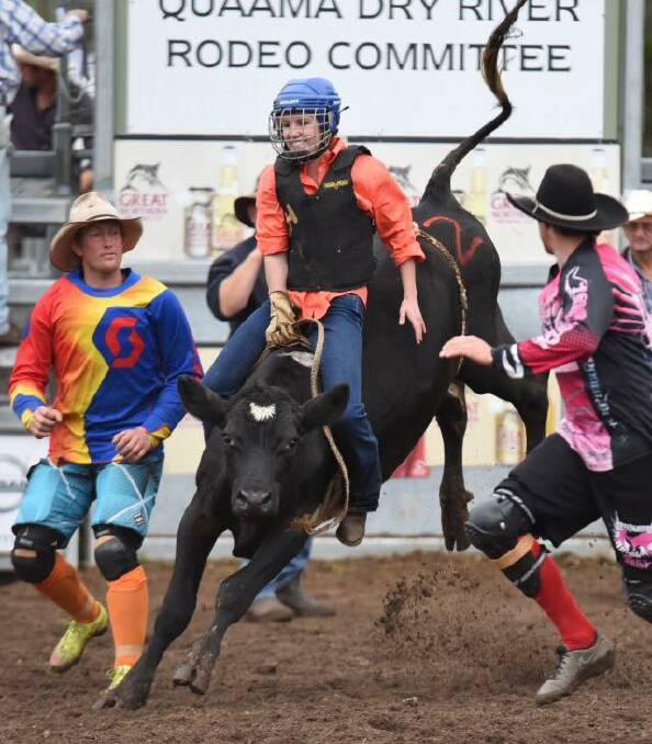 An increase in competitors signing up for the ladies heifer ride at the Cobargo will make it an event not to be missed. Photo: supplied