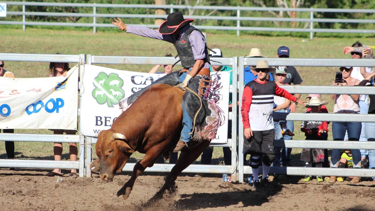 The Cobargo rodeo will go ahead at this year's show event. It will be held at 4pm on Sunday February 13, 2022. Photo: supplied