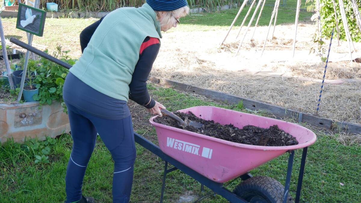 Bermagui District University of the Third Age member Kym Hawes creating potting mix for native saplings to be planted around the perimeter of Moodji Farm. Photo: Ellouise Bailey