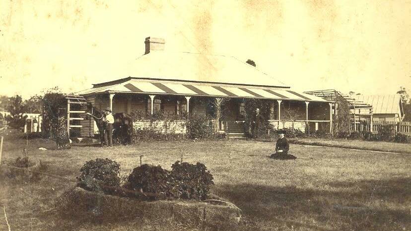 The original Braemar homestead, with the Bunya Pine sapling planted on the left. Picture supplied.