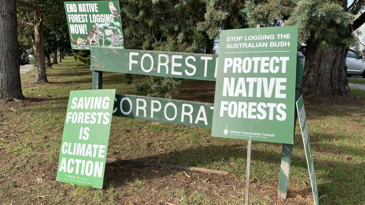 Grass-roots protestors want logging to be the top agenda item this election
