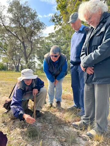Expert botanist Jackie Miles revealing some of the cemetery's rich flora Photo: Rebecca Rudd
