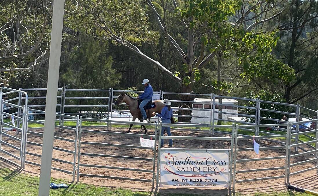 Michael Green explained some of his techniques for training stock horses at Cobargo Show last year. Picture by Marion Williams