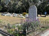 Bermagui Cemetery is home to Bangalay sand forest, an endangered ecological community.