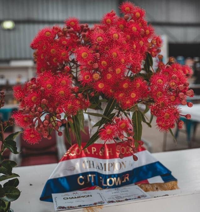 Carol Low said if the show schedule asks for three or more when exhibiting cut flowers or vegetables, items should be identical in size and colour. Picture supplied