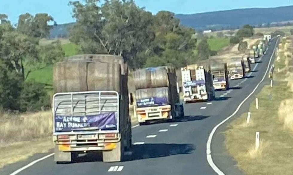 The convoy of ten trucks carried 340 bales of fresh hay worth $32,300. Aussie Hay Runners organised the delivery to Cobargo. Picture supplied