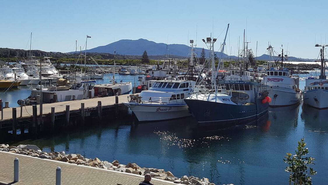The NSW Taste of Seafood Festival in Bermagui on November 26 will coincide with the 13th birthday of the Bermagui Fishermen's Wharf.