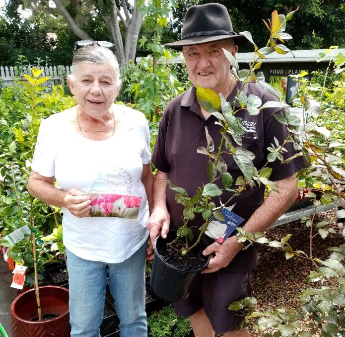 Carol Low spending one of several vouchers she won at the Eurobodalla Show to buy plants from Keith Mundy of Tilba Nursery. Photo supplied.