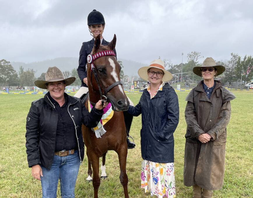 Sanlirra Bright Light won the Karizmah Malenka Memorial Perpetual Trophy for the most promising young horse under saddle four years and under. Picture supplied