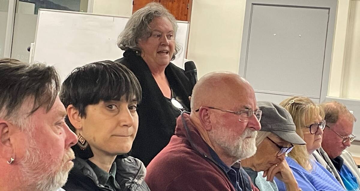 Residents, including business owners, students, the elderly and parents, from Bermagui, Bunga, Tilba, Narooma and beyond wanted to explain how the closure of Wallaga Lake Bridge would impact them. Picture by Marion Williams