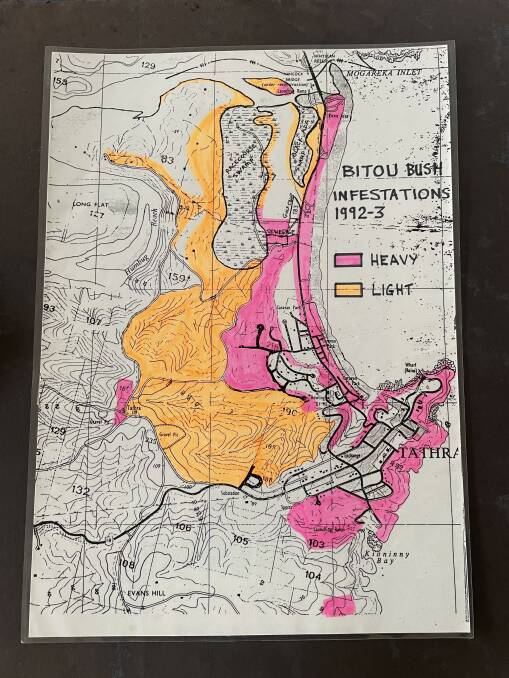 A map of bitou bush infestations during 1992-93. Picture supplied. 