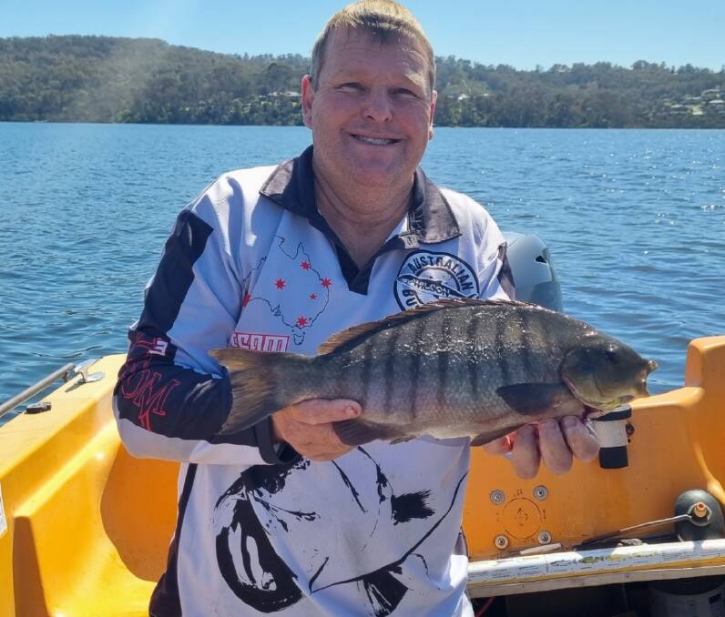 Shane Mayberry, Merimbula club's new president, shows a monster 453cm luderick taken on a soft plastic lure in Merimbula Lake. Picture supplied