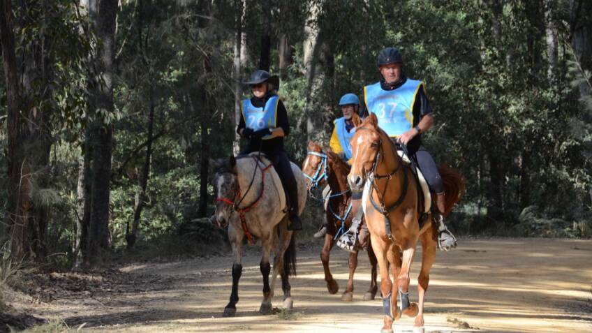 In 2019, competitors in the Currowan Endurance Ride enjoyed mild conditions. Picture file