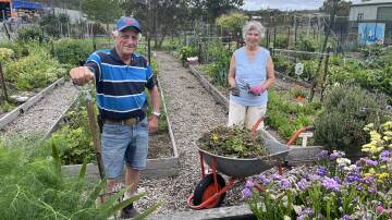 Pambula Village Community Garden member Jim Eberbach and president Rae Joyce within the beautiful gardens in the heart of Pambula, surrounded by blossoming flowers and yet-to-be collected vegetables. Picture by James Parker