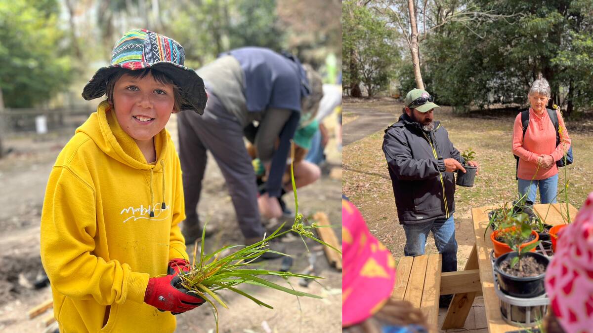 Moss from Mumbulla School during the Tree Planting Event at Potoroo Palace. Pictures by James Parker