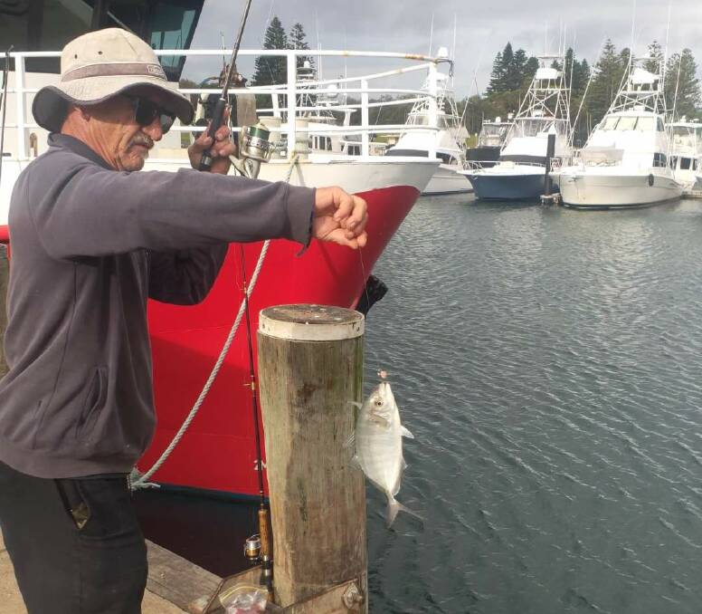 Bermi Wharf Rat, Andy Huk, catching a fish at the Bermagui Fishermen's Wharf. Picture by James Parker