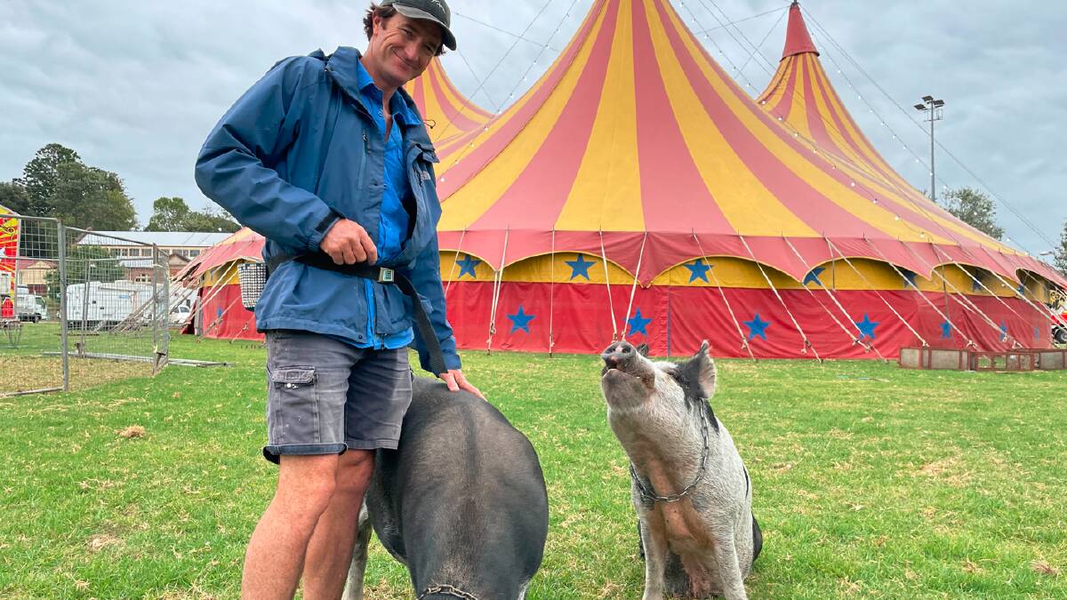 Matt Smith, animal trainer and Hucklbery the Clown, standing with pigs Dyson and Hoover. Picture by James Parker