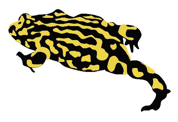 The vivid southern corroboree frog (Pseudophryne corroboree), one of Australia's most iconic frogs, is listed as critically endangered.
