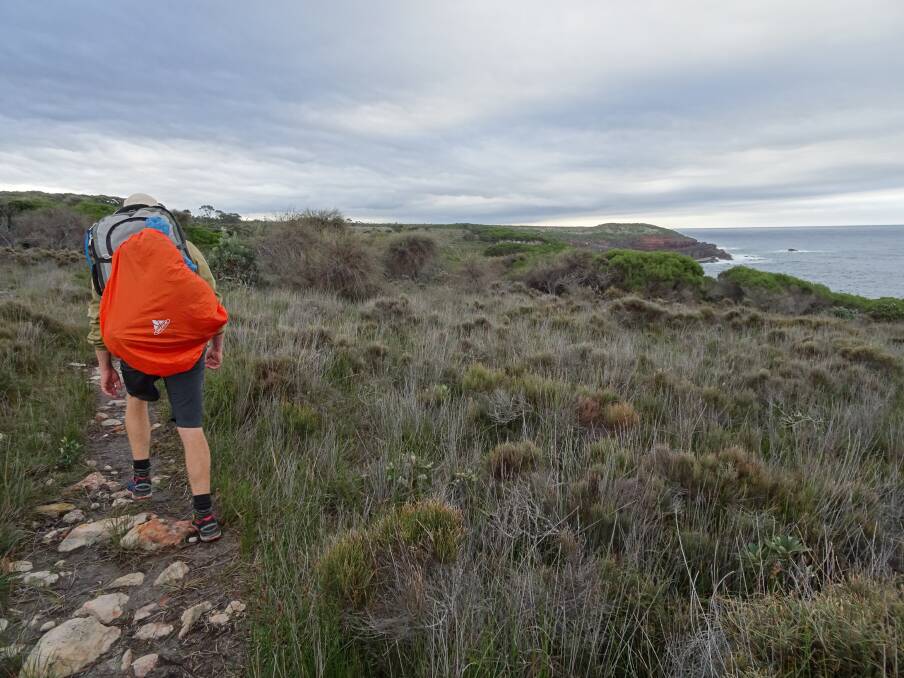A hiker on a remote stretch of the Light to Light walk near Eden. Picture: Kimberley Le Lievre