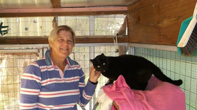 Carolyn Cole picks up Maddie from her Moruya RSPCA foster home after two years wondering what had happened; a victory for microchips.