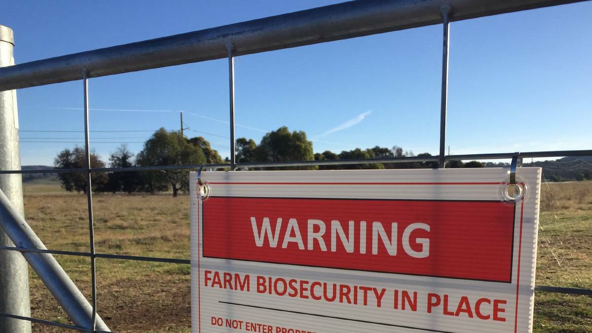 'Lucky' biosecurity system needs overhaul before luck runs out