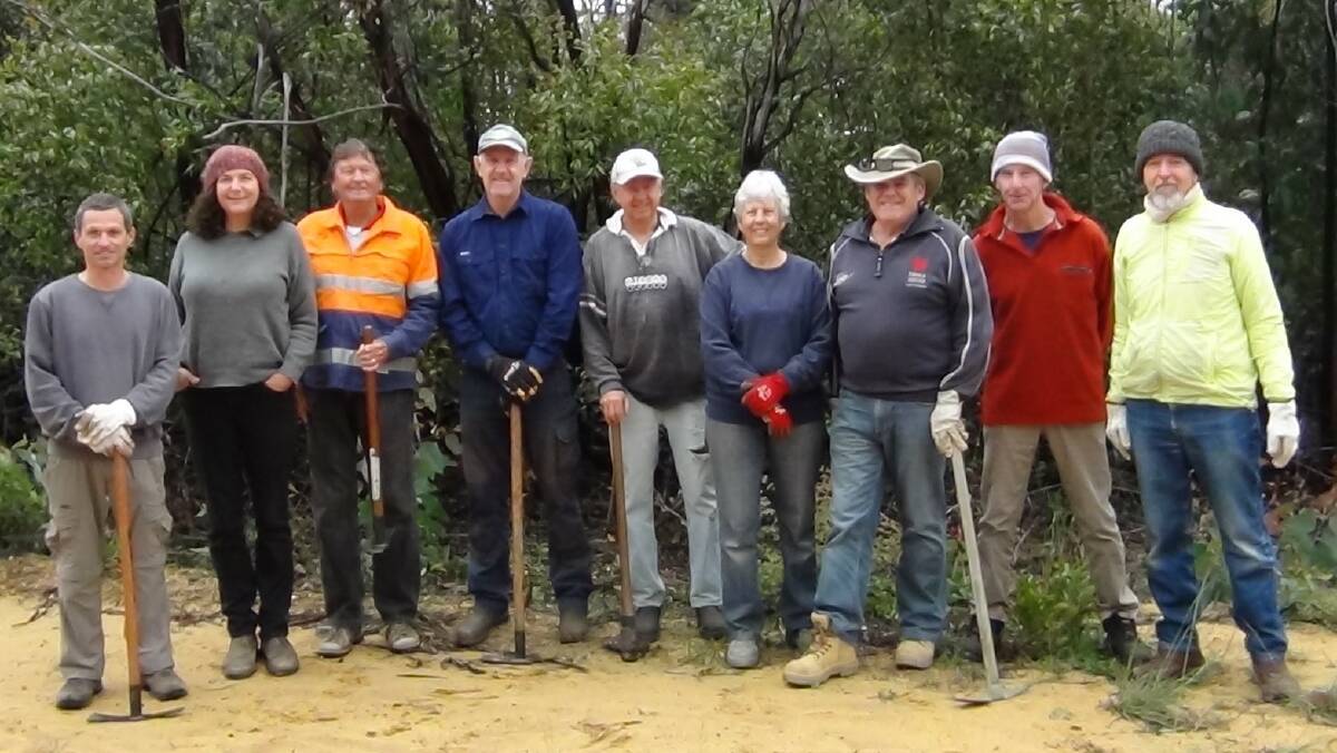 Tathra Land Care volunteers on the weekend working bee looking for and removing bitou bush. Photo: Supplied