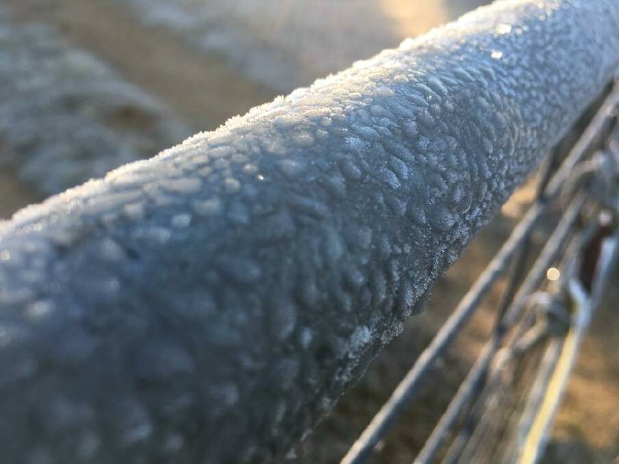 Readers enjoyed sharing their frosty morning photos with us this week, including this one from Helen Greer.