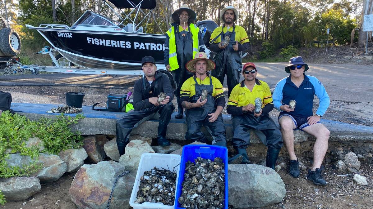 Eden Local Aboriginal Land Council reps join DPI Fisheries in their annual Pacific oyster cull. Photo: Supplied