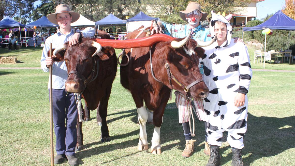 RURAL FUN: Enjoying the 2016 Country Fair are Bernie Anderson, Paul and Pete the bulls, Pete McCarthy and Aaron Burns all of Wandella.