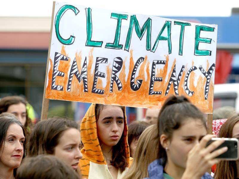 On Thursday, Adelaide joined the growing number of councils, both metro and regional, declaring a climate emergency.