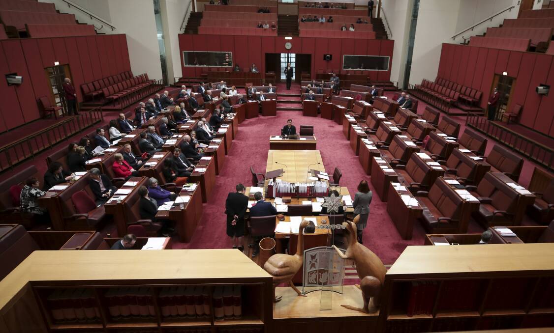 The Australian Senate. Picture: Alex Ellinghausen