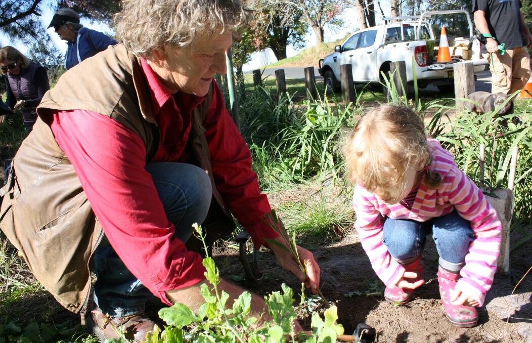 Get hands-on during the Bega River Day with activities and entertainment for all ages.