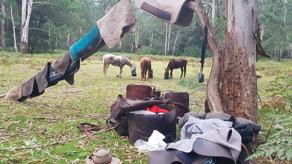 EPIC: Camping out on the WD Tarlinton Track, which stretches from Braidwood to Cobargo. Photo: Melissa O'Brien