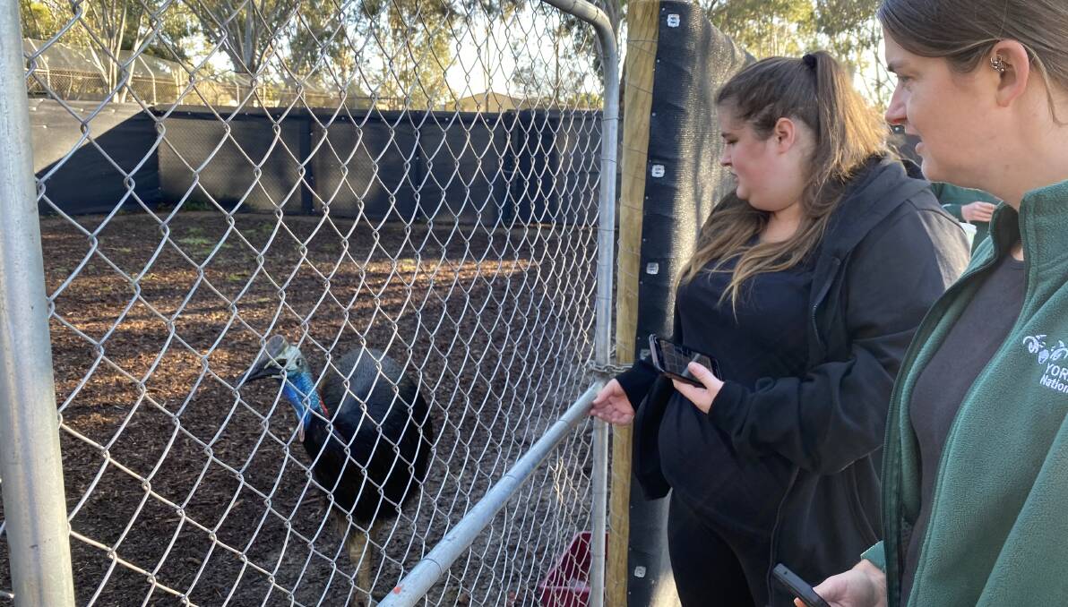 On The Perch's former cassowary keepers Holly and Alex join Steve and Linda Sass in visiting Kyabram Fauna park last week.