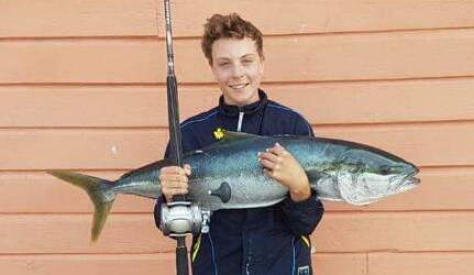 Tathra's Tyler Ellard, aged 13 years, landed this king fish from the Tathra Wharf last week