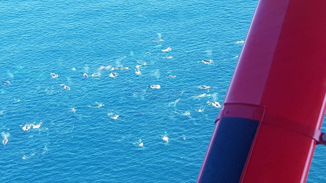 Mandy MacLeod enjoyed a joyflight at Merimbula seeing the feeding whales from the air. Photo supplied