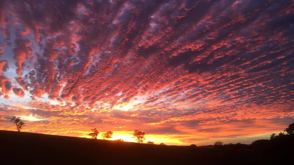 Winter sunrise over Buckajo, by Sam Rogers. The spectacular skies are inspiring plenty of readers to get out early with their cameras and phones.