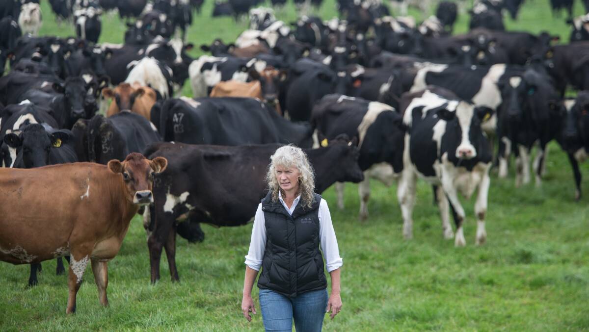 LIFT: Murray Goulburn has lifted its milk solids price to its supplying farmers like Kate Lamb from Denison in Gippsland. Fairfax file image