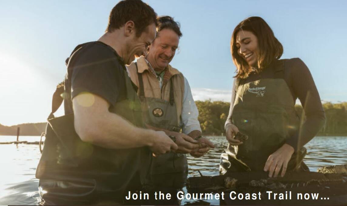 An image of the Gourmet Coast Trail brochure inviting food experience businesses to join.