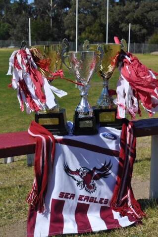 Tathra's SCAFL premiership cups from 2010, 2011 and 2012.