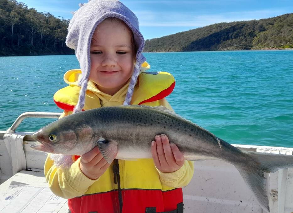 Four-year-old Maree Walker, of Greigs Flat, shows off a lovely Australian salmon taken in the Pambula River.