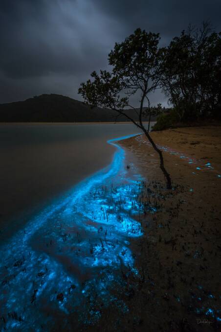 Bioluminescent algae at Tathra. Picture: David Rogers