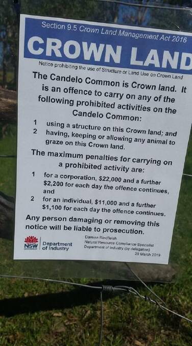 Candelo Common horses continue to frustrate community