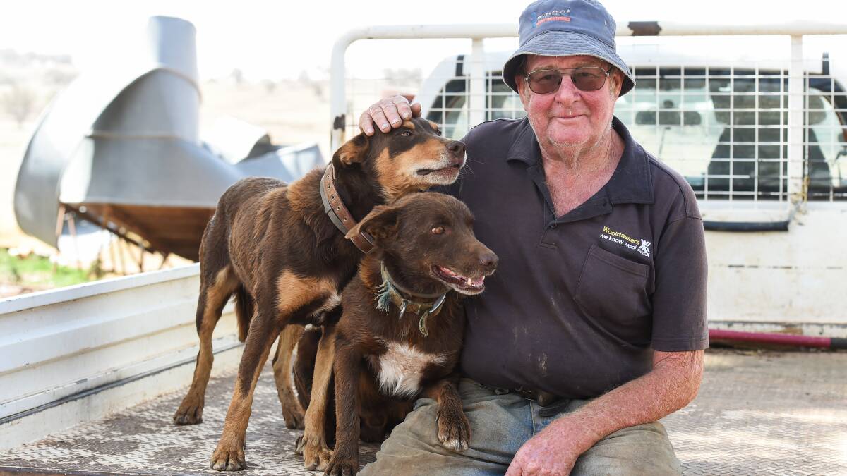 MAN'S BEST FRIEND: Mr Odewahn with his kelpie dogs, Rex and Coco.