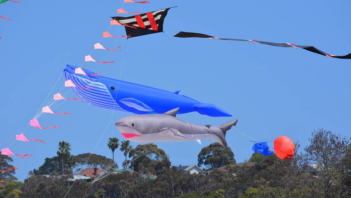 Eden Whale Festival is back this year and will be held from October 7-9. 
