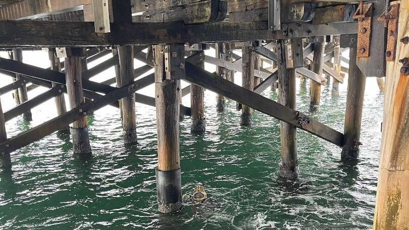 Piles under the Tathra Wharf have reached the end of their serviceable life the council said. Photo: Supplied