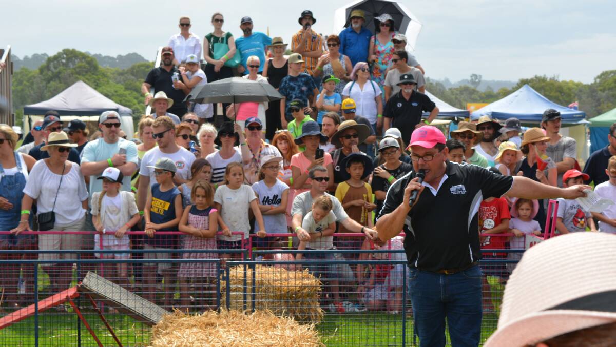Kev Kiley plays up for the crowd at the New Year's Eve pig races at Tathra Beach Country Club. Picture: Ben Smyth